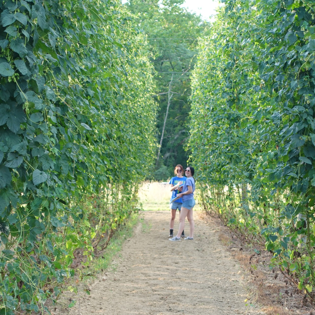 Horticulture students in the field.