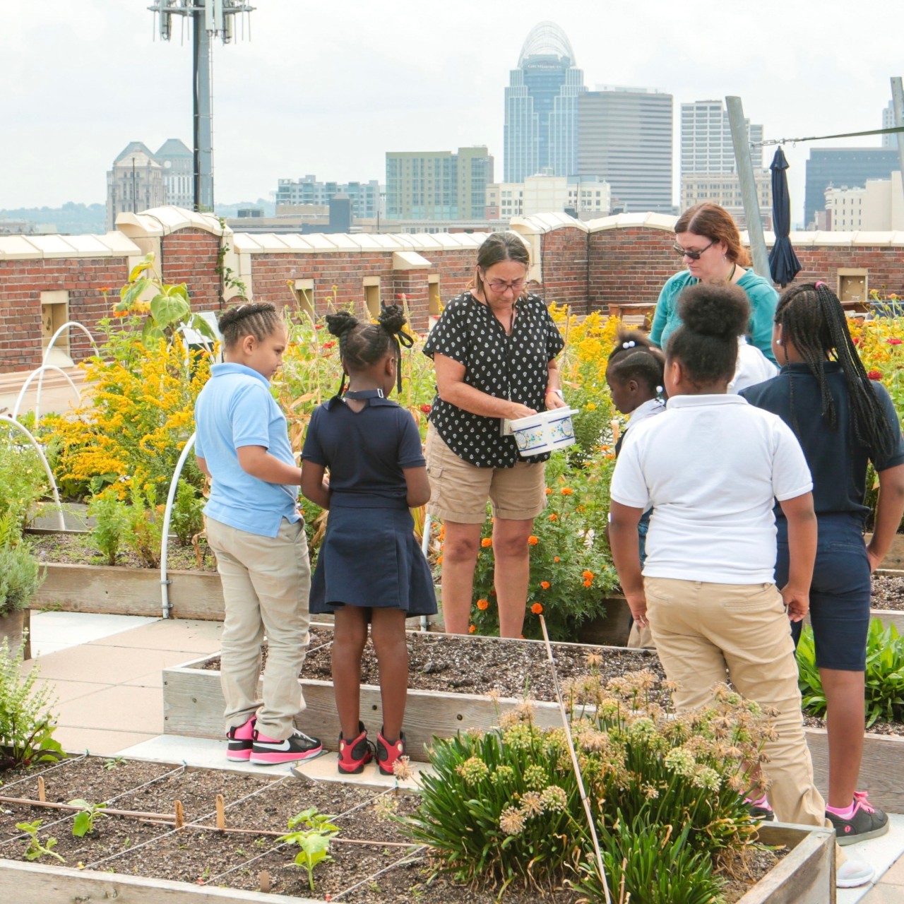 Cincinnati Public 3rd grade students work in the rooftop garden a Rothenberg Preparatory Academy. UC/Joseph Fuqua II