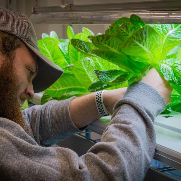 Horticulture student planting in a DAAP lab.