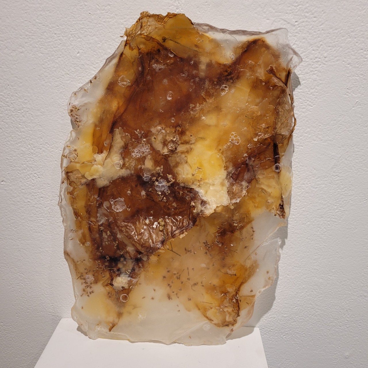 Jillian Campagna, "Synthetic Nature", February 25-March 2, 2024