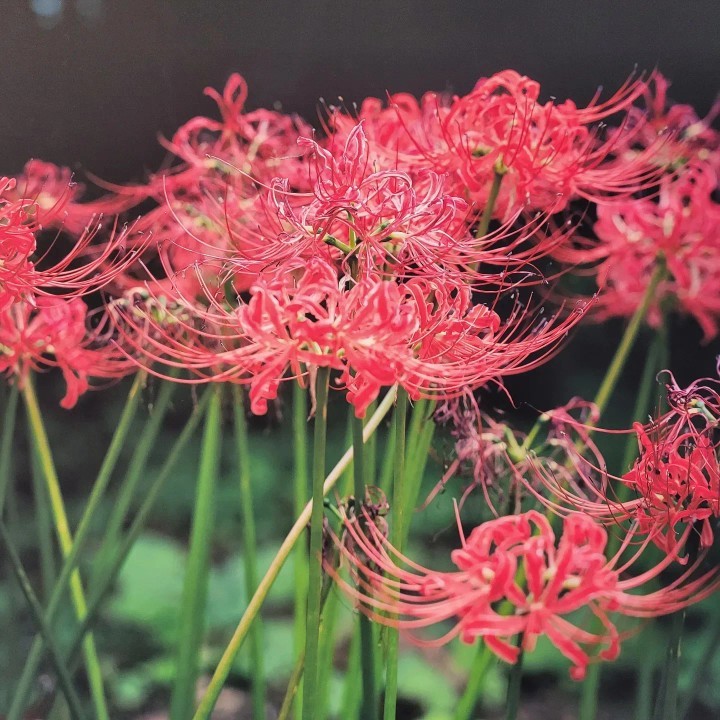 Senior Seminar Group Show on April 19-22, 2023