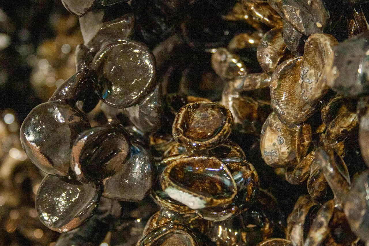 detail of ceramic piece