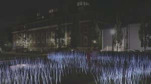 ECO-DIVERSITY: Computation and Identity exhibit preview