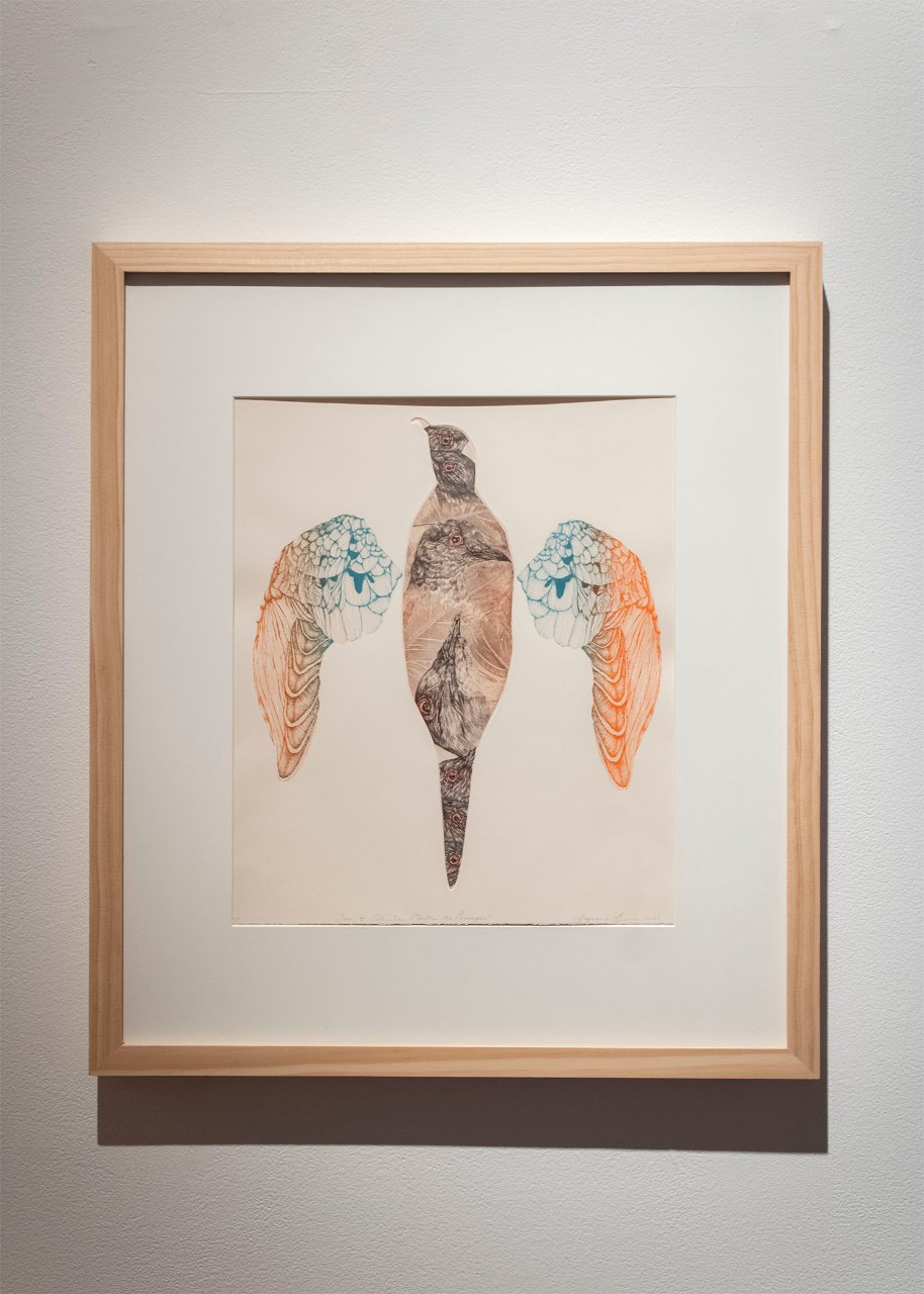 Fear of Extinction: Martha the Passenger, 2022 - Stephanie Berrie