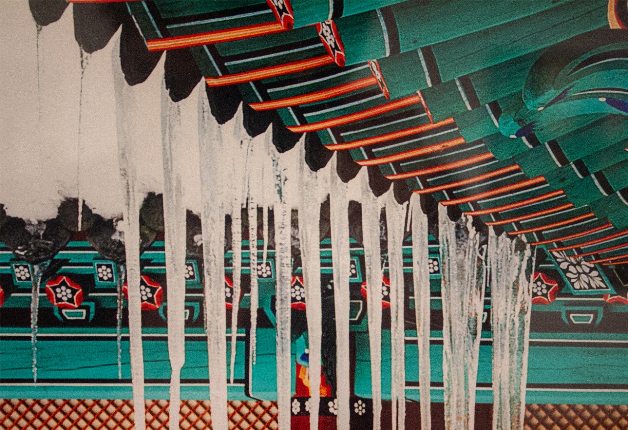 Hye Yeon Park, Naejangsa Temple, Leica V-Lux 5, detail