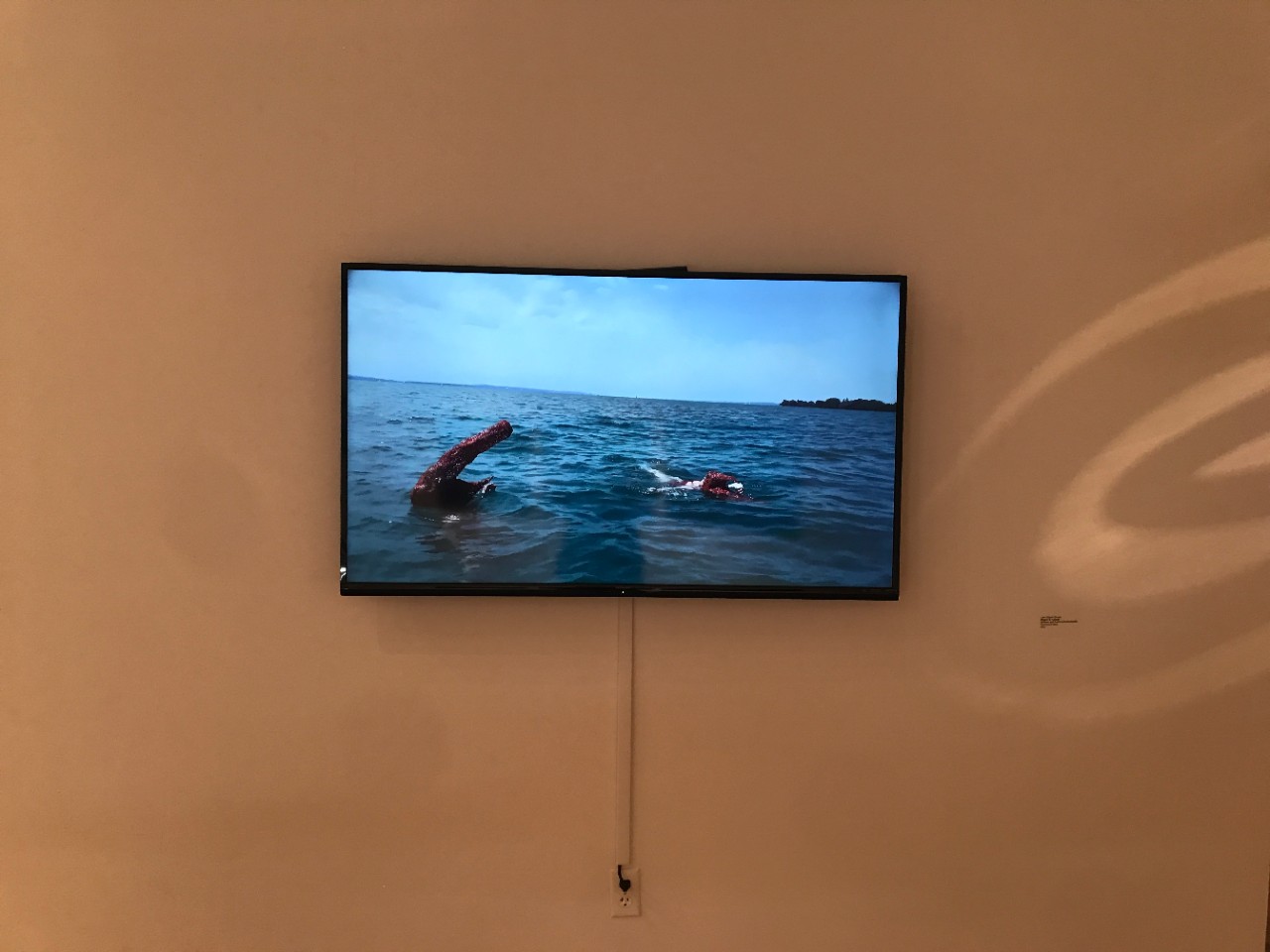 Lake Alligator Dreams by Kristen M. Tordella, Williams and Susanne Hackenbracht