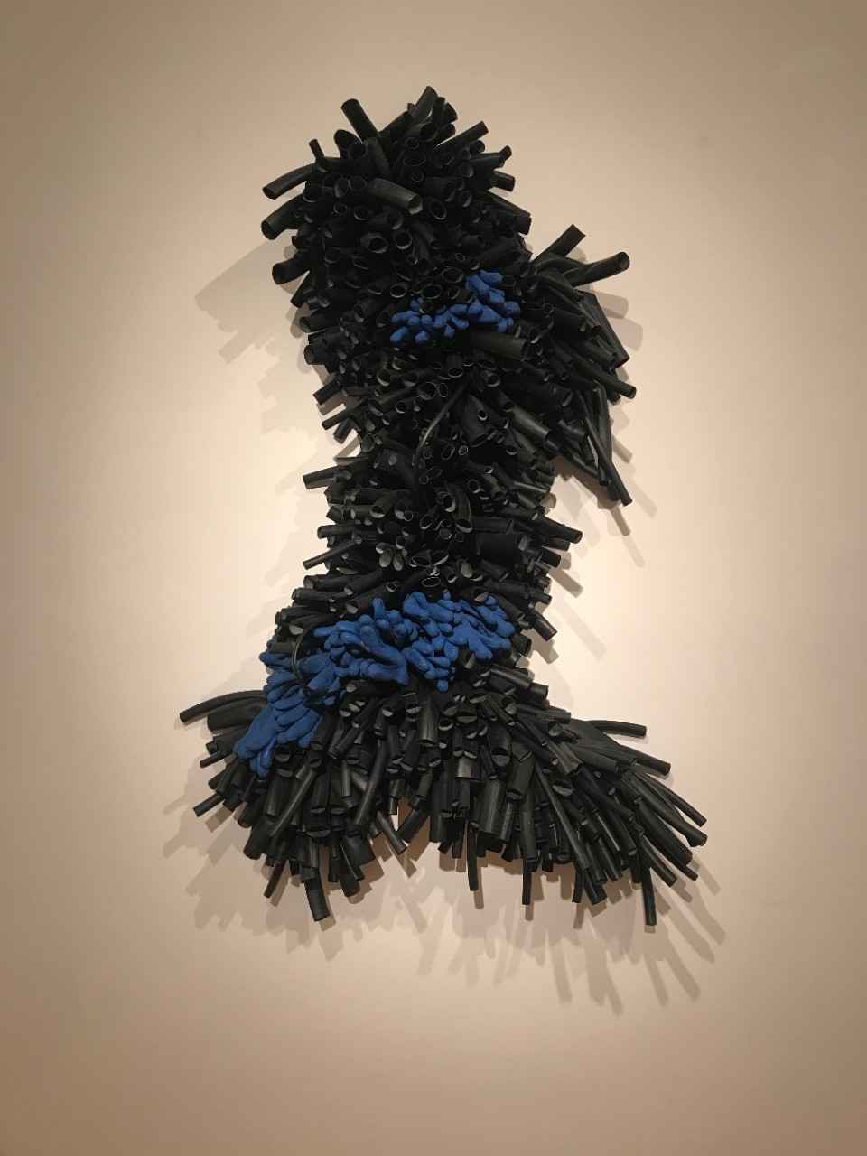 Pushmi-Pullyu by Gina Lee Robbins