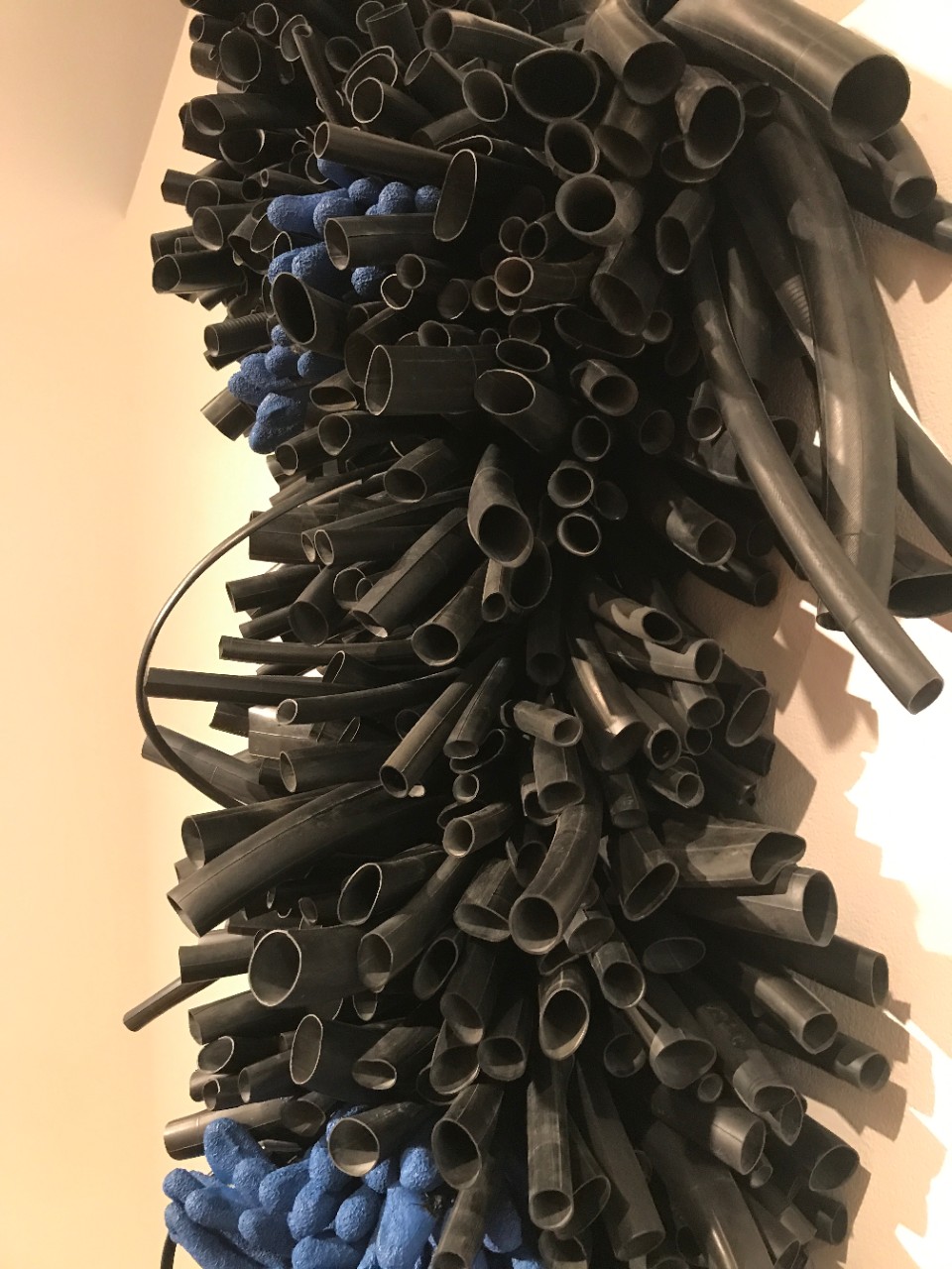 Pushmi-Pullyu by Gina Lee Robbins