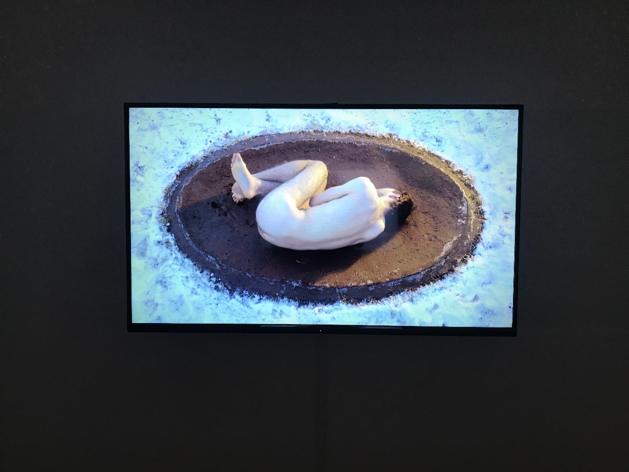 Earth Womb by Monroe Isenberg