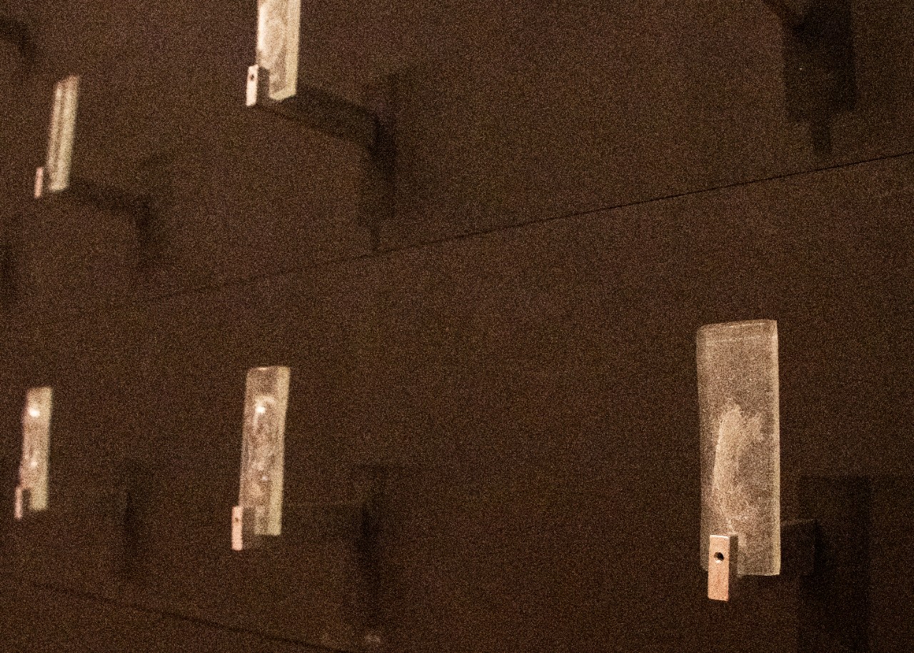 Shadow of Lives by Manami Ishimura