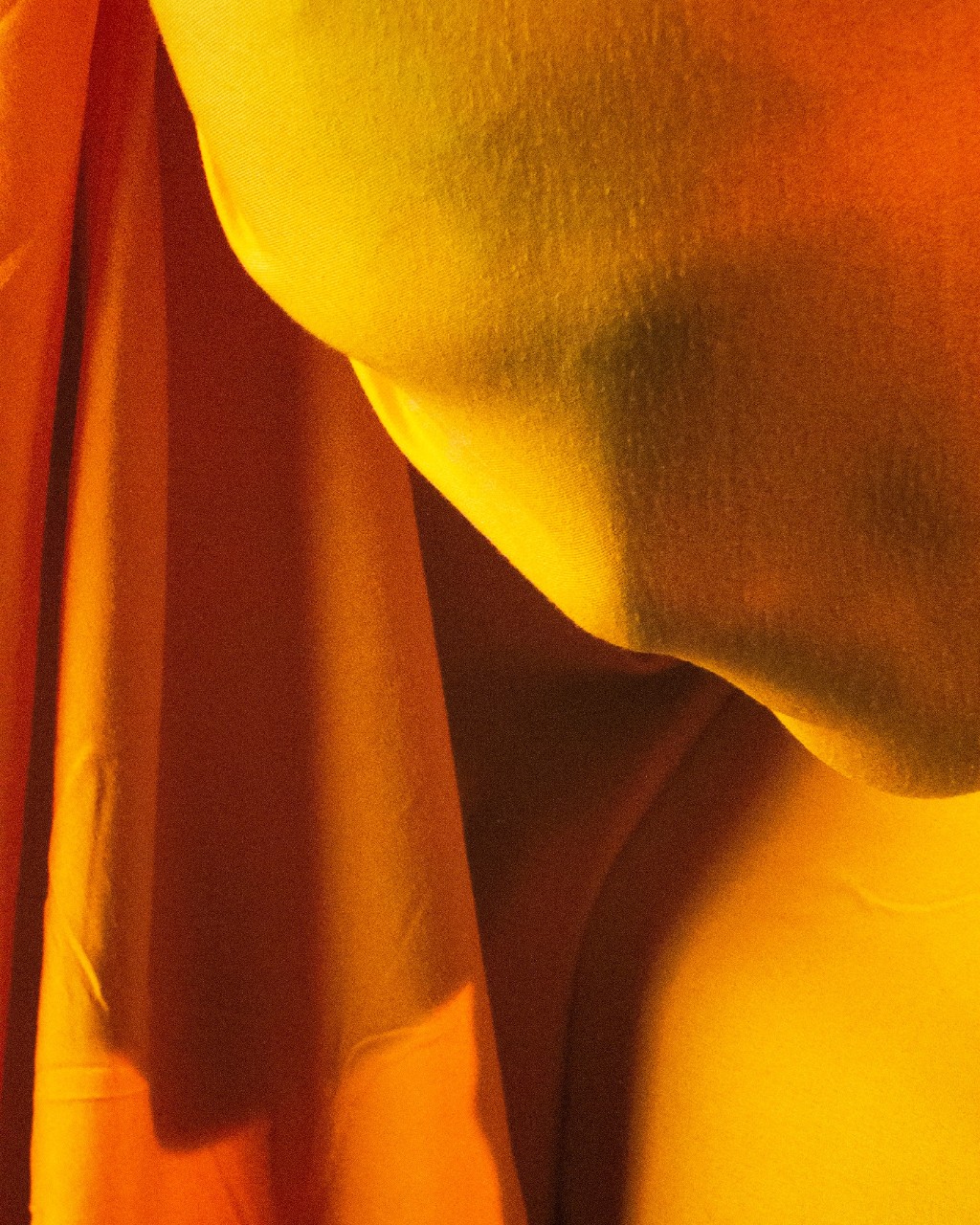 Archival Pigment Print