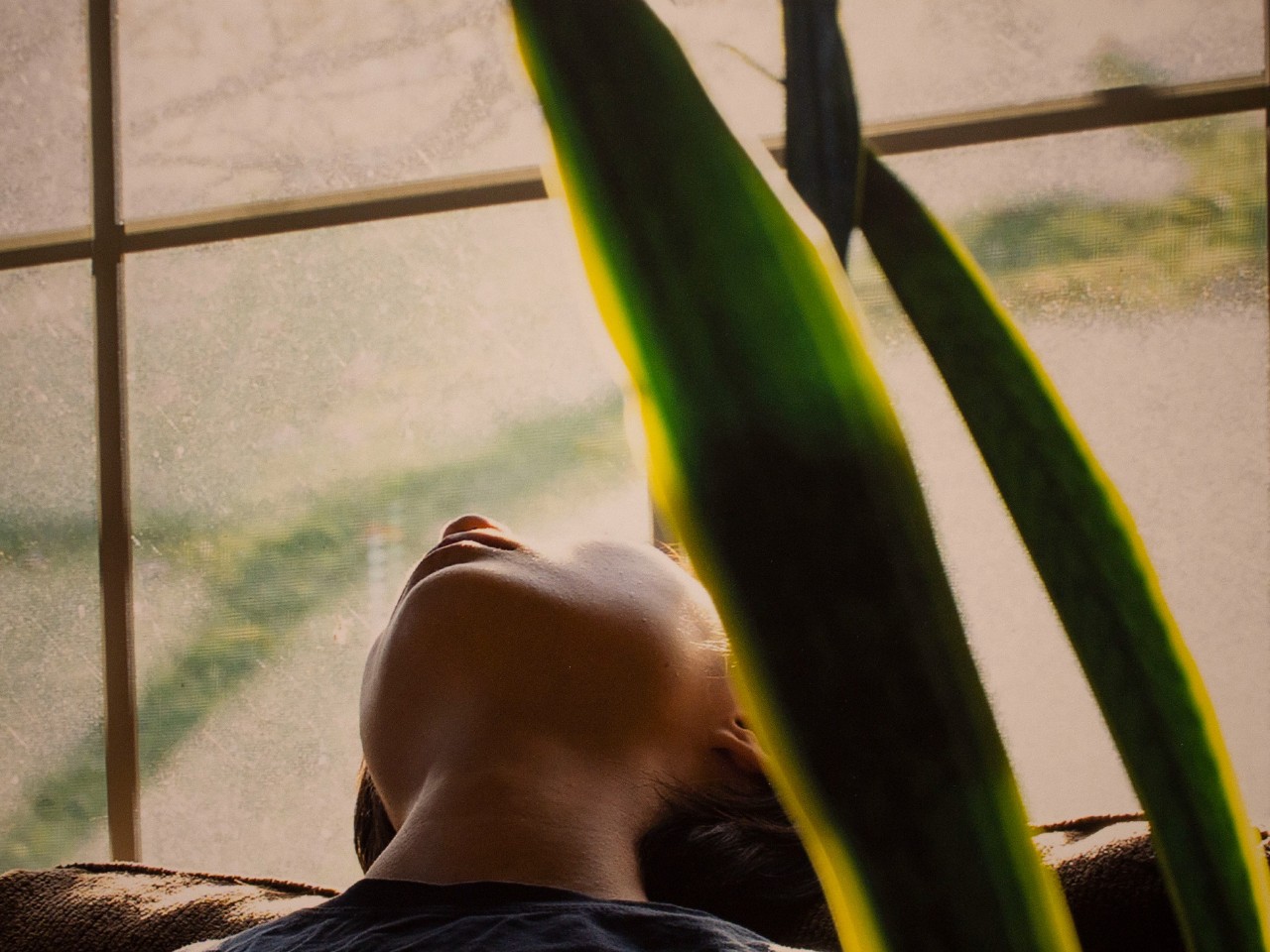 Archival Pigment Print