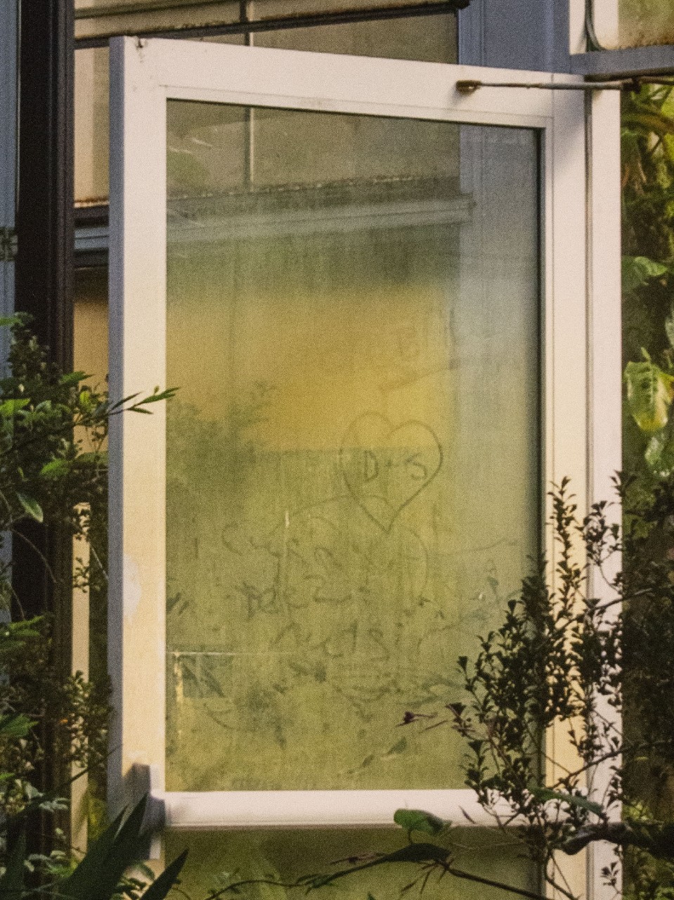 Archival Pigment Print