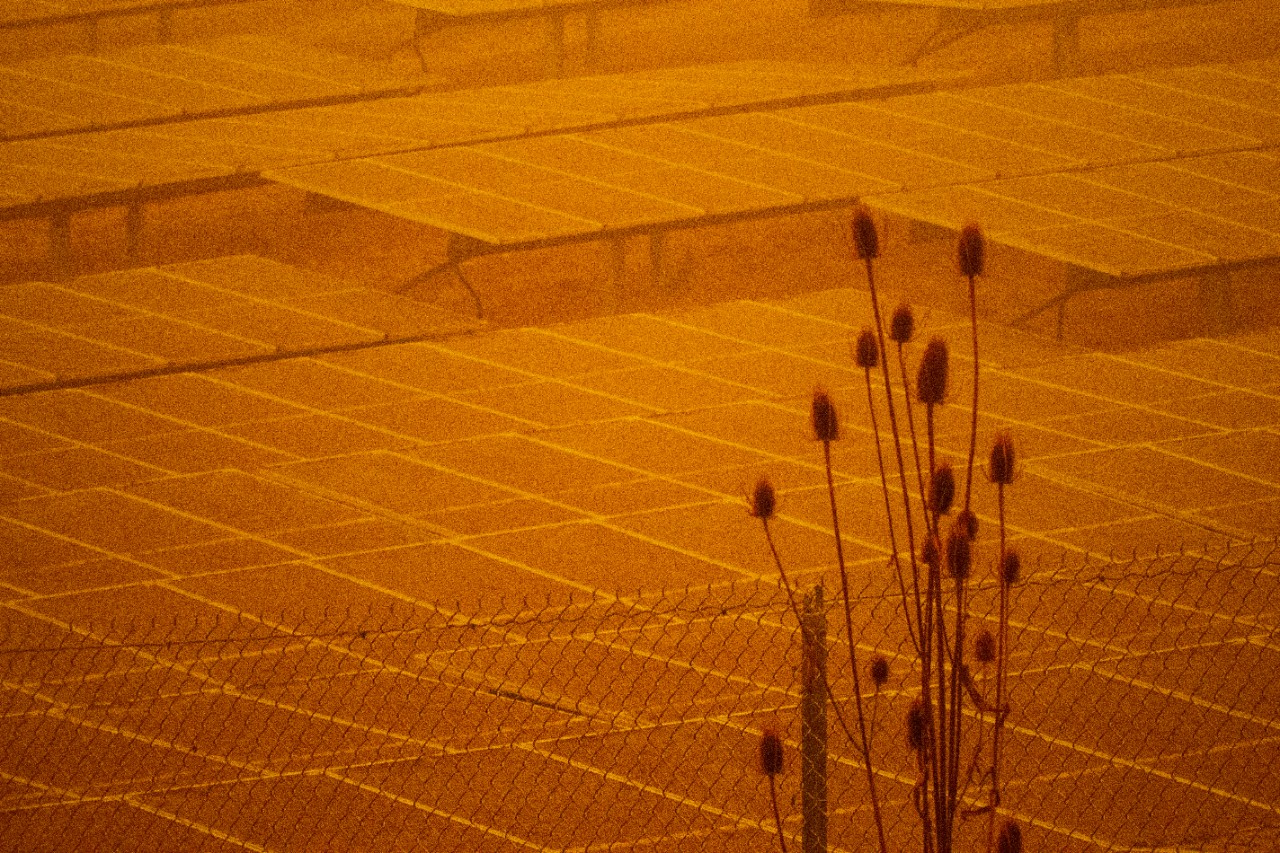 Archival Pigment Print