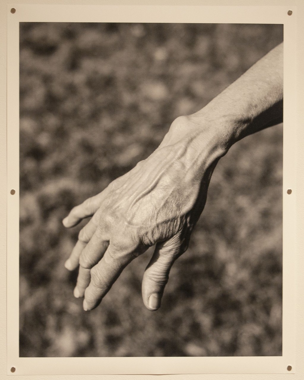 My Mother’s Hand – Laura Cobb