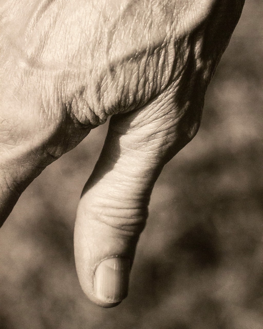 Archival Pigment Print