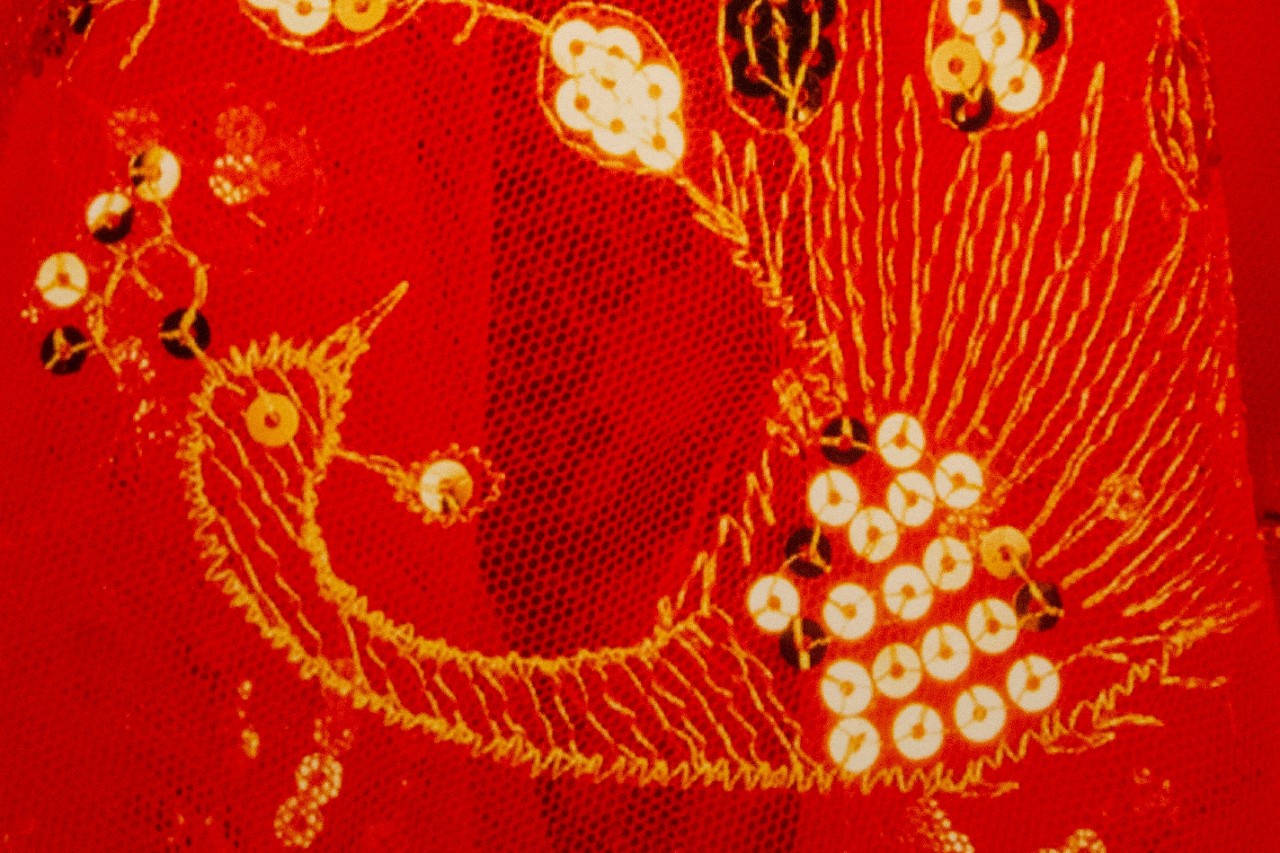 Archival Pigment Print