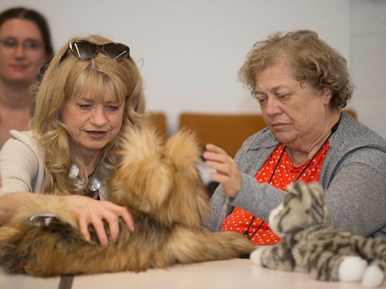 Affordable Robotic Intelligence for Aging Support