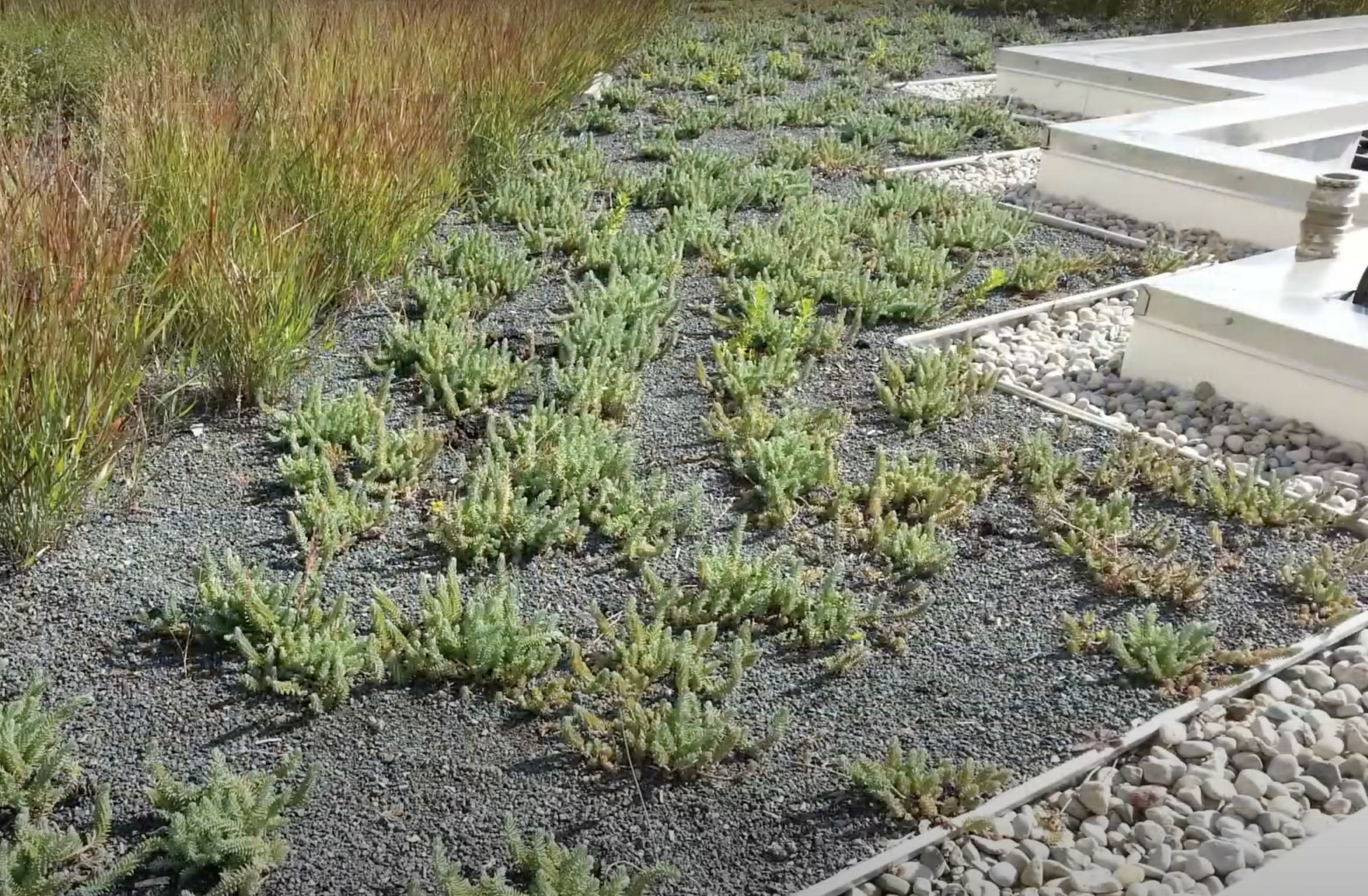 Greater Ohio Living Architecture