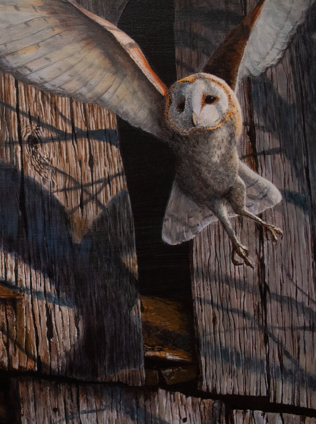 Moon Shadow, 2023 close up