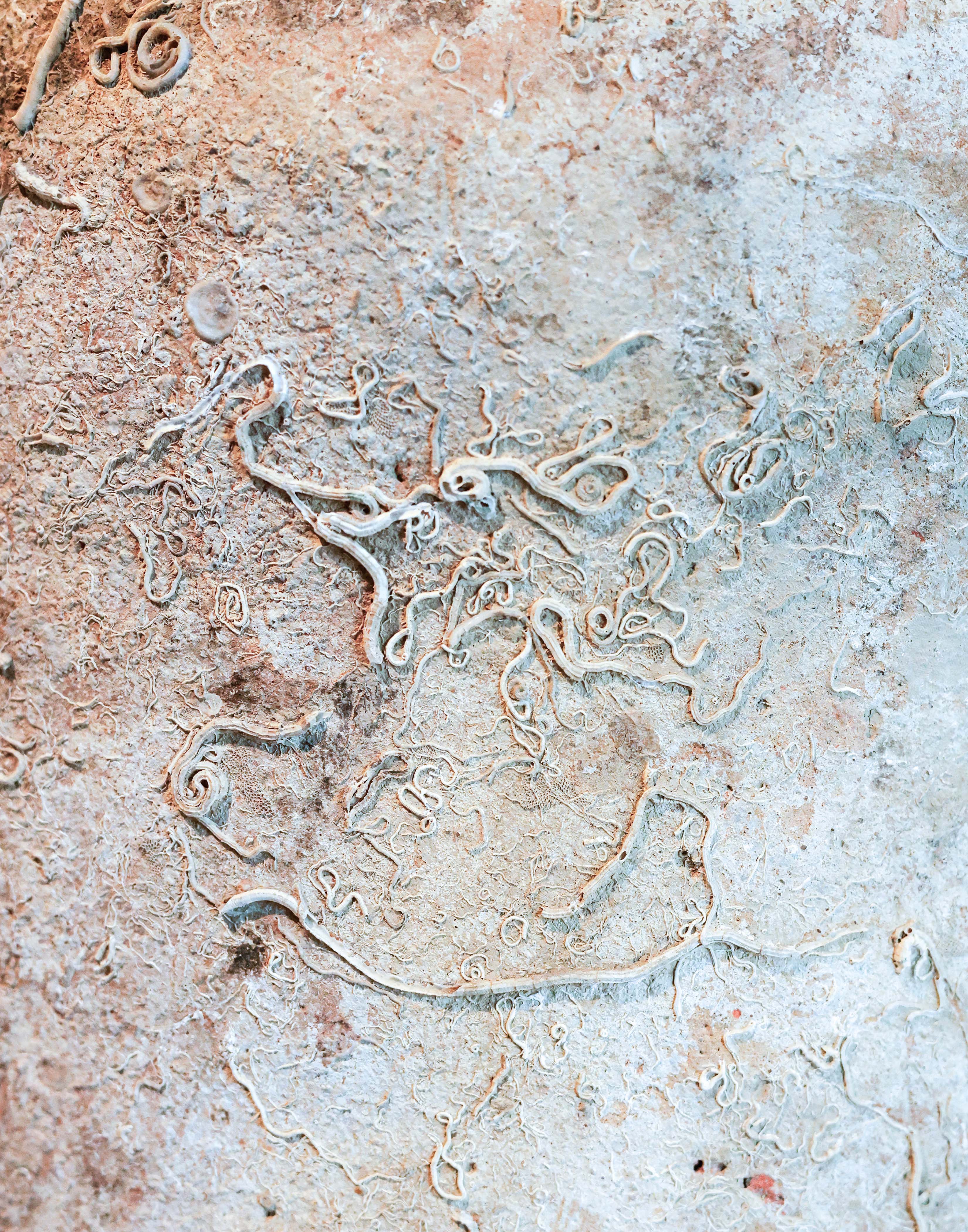 unknown, "Africana II type transport amphora (or Africano grande)", detail.