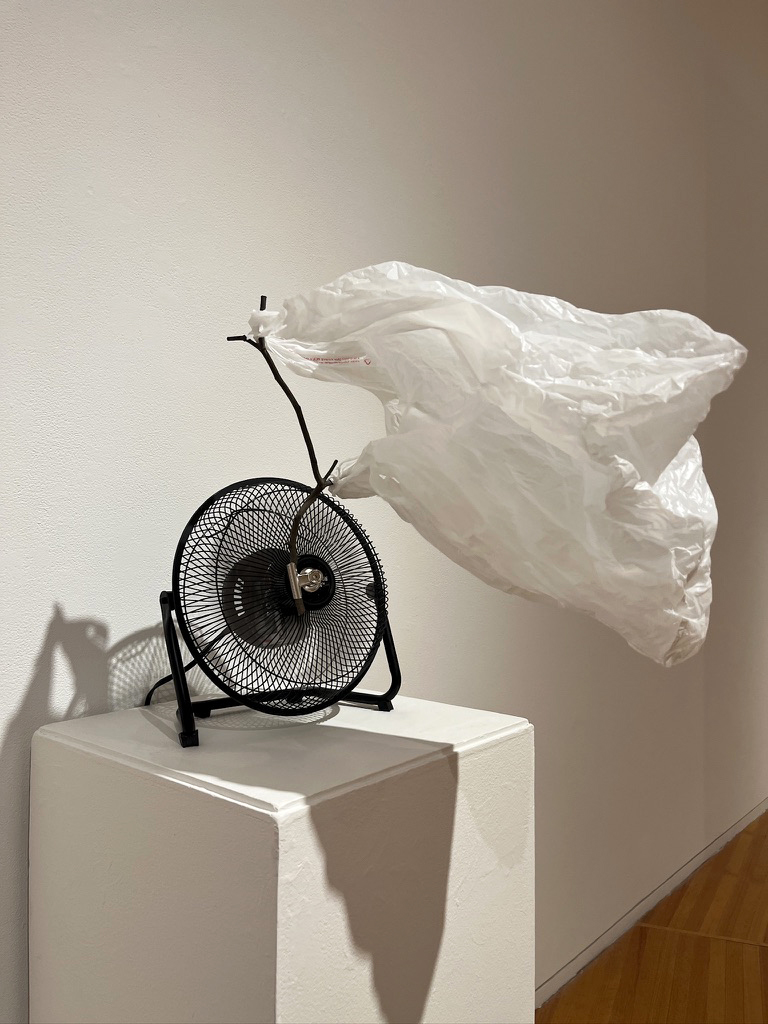 Clem, Dust in the Wind