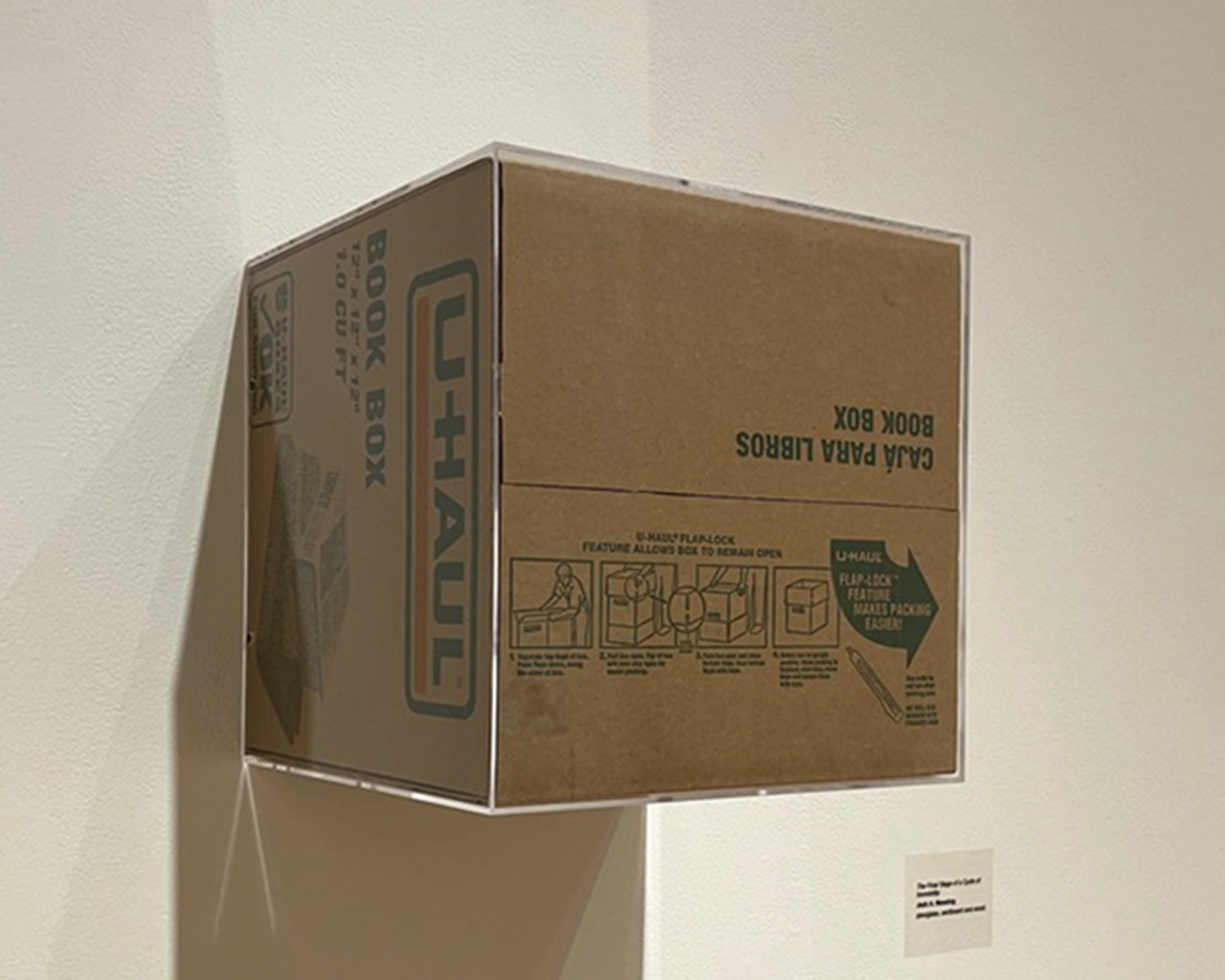 Massing, The Final Stage of a Cycle of Immobility