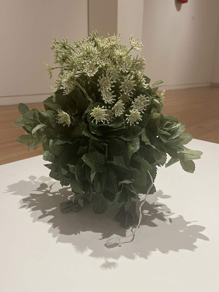 Plantbot Genetics, Flora-5 (Daucus roboticus comptonii)