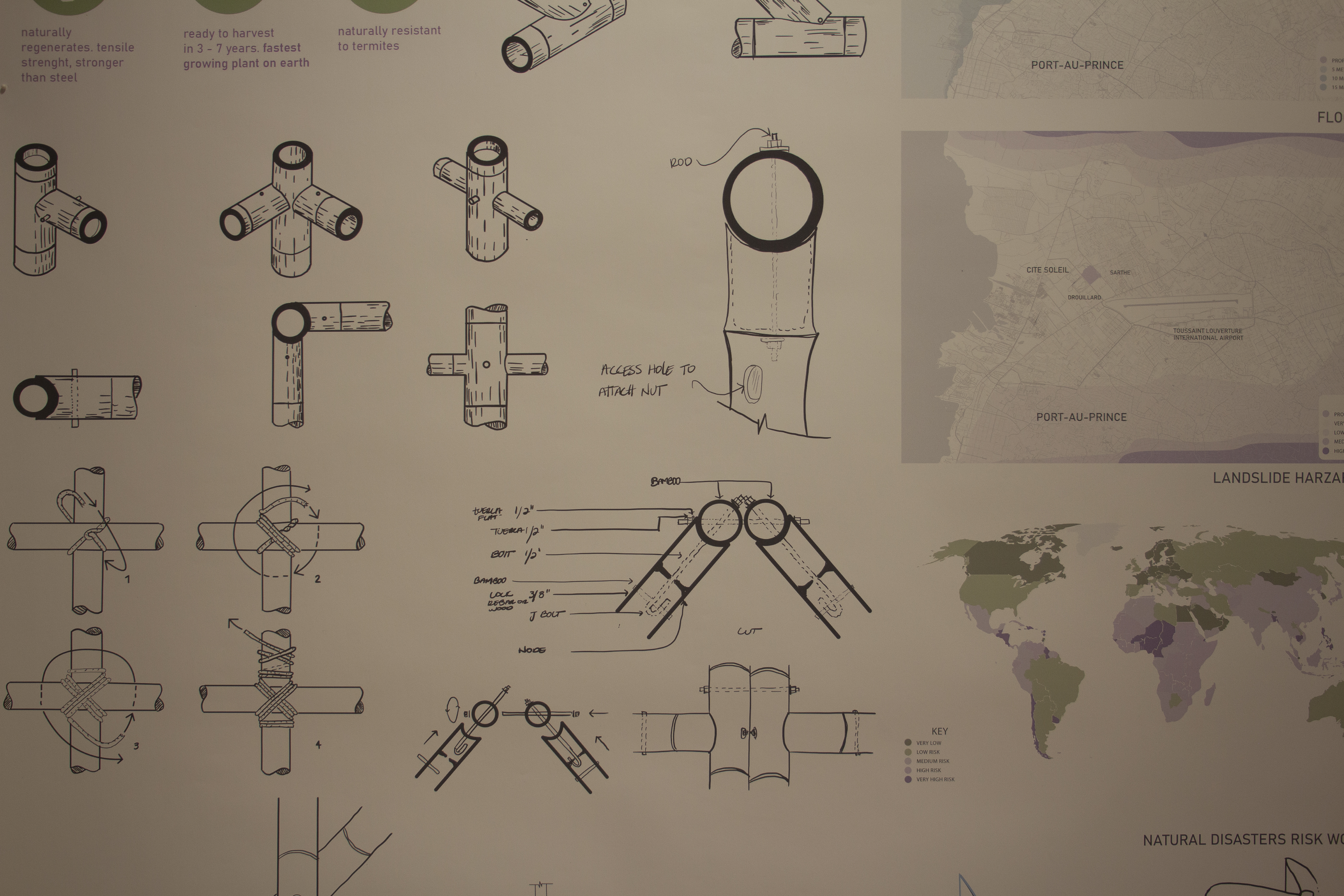 Hilda Rivera, Reed Gallery, DAAP Galleries