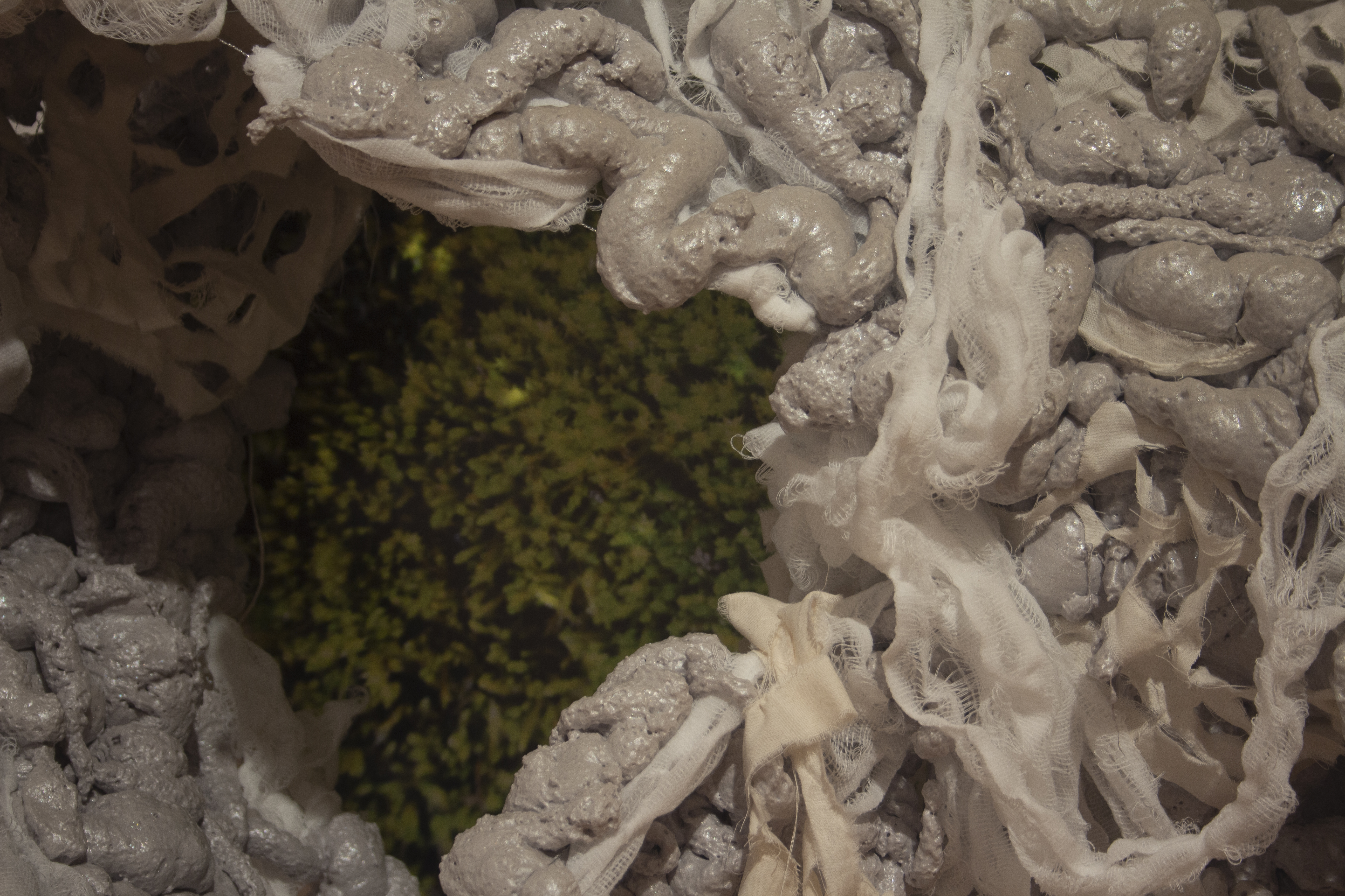 Natalie Lorenz, Reed Gallery, DAAP Galleries