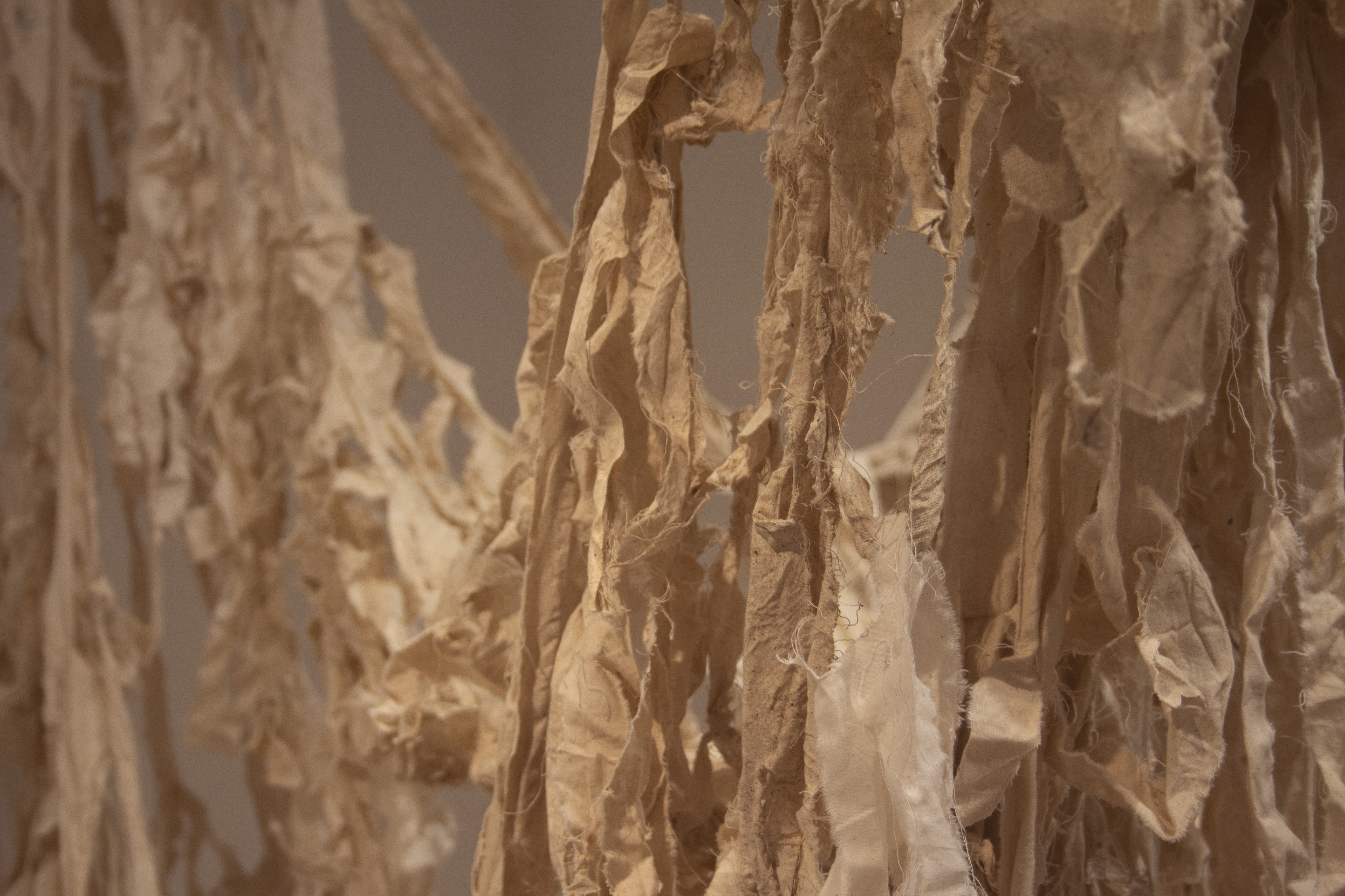 Natalie Lorenz, Reed Gallery, DAAP Galleries