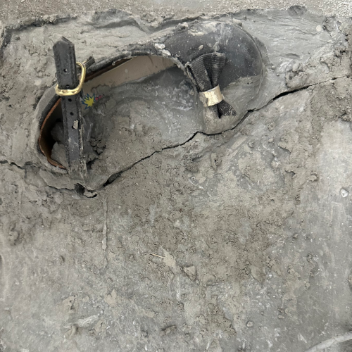 Nazanin Najdmofarrah