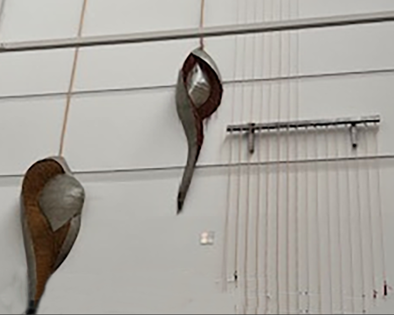 Detail of Replication/Mutation by Douglas Oleson