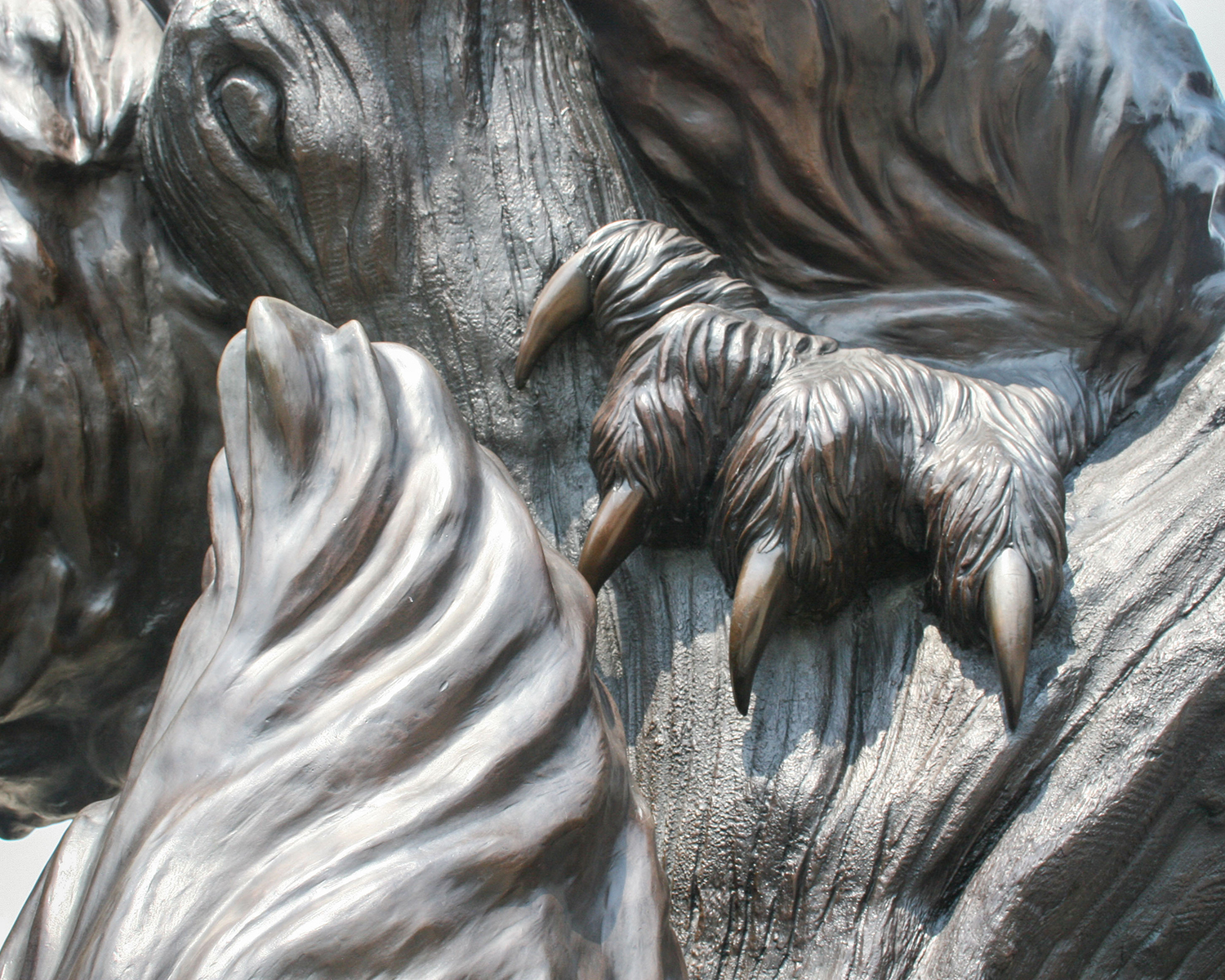 Detail of Bearcat by Jon Hair 