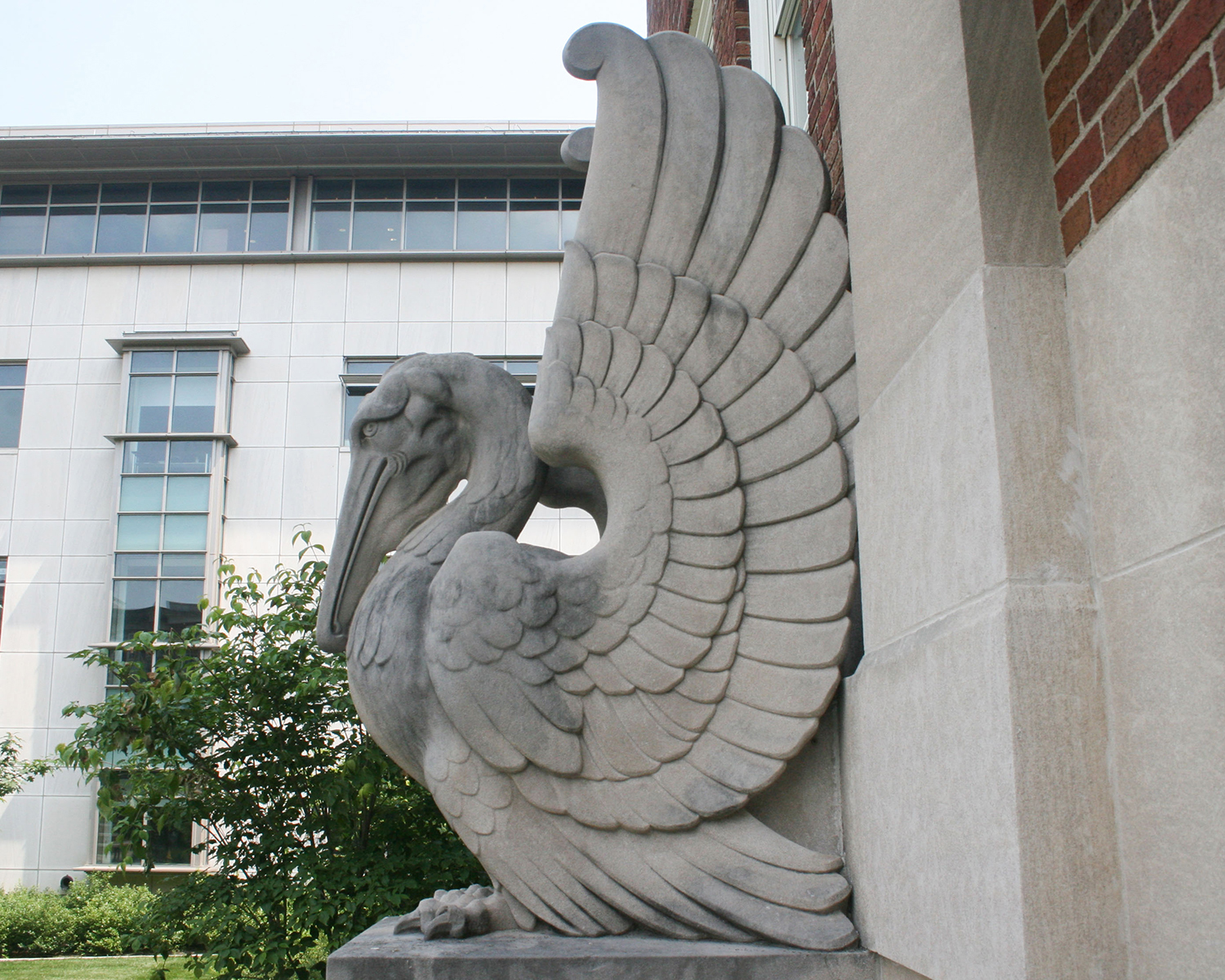 Pelican by Lee Lawrie